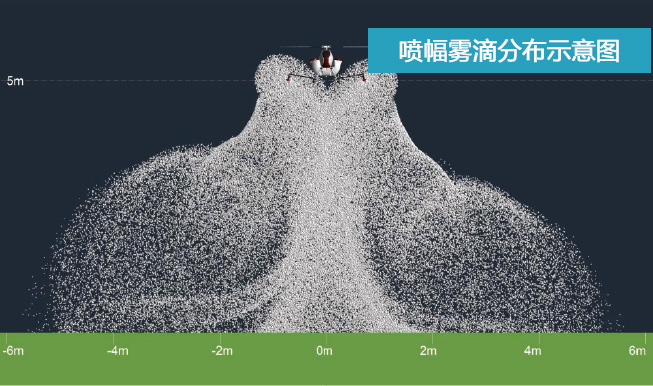 天鷹兄弟