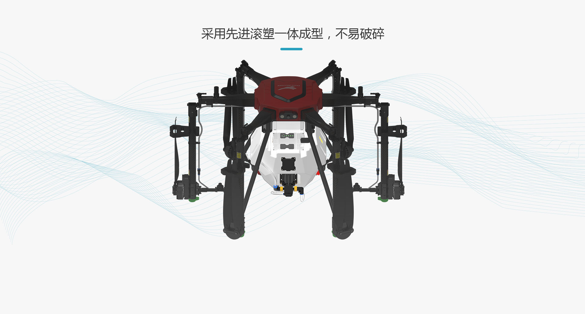 天鷹兄弟