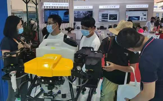 天鷹兄弟